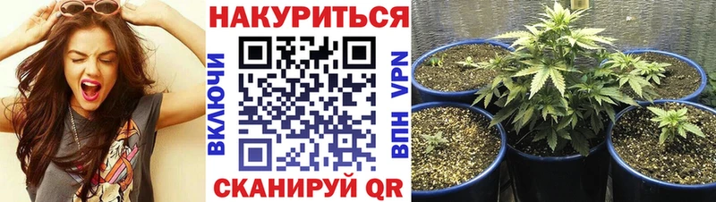 МАРИХУАНА тримм Чебоксары